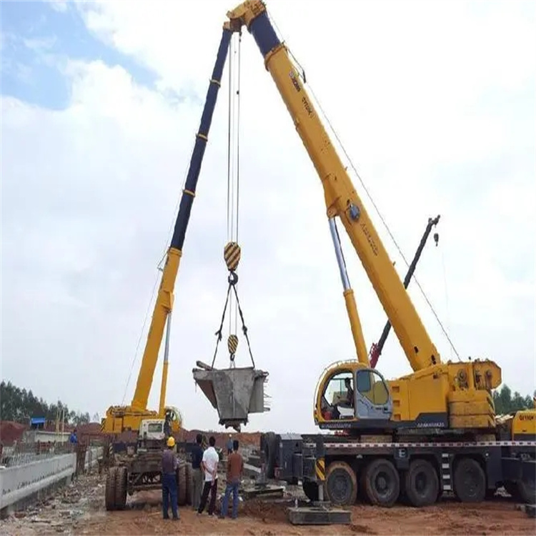 巴马小型吊机出租电话|厂房设备吊装方案|24小时服务覆盖